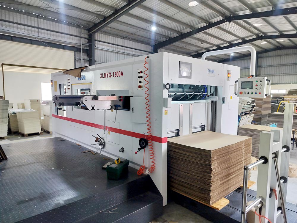 Automatic Die Punching Machine with Stripping